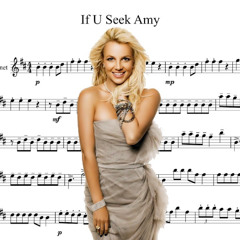 If U Donk Amy