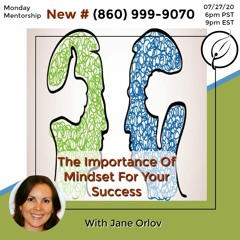 The Importance Of Mindset For Success With Jane Orlov