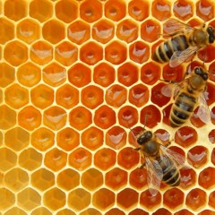 Raw (The HIVE remix)