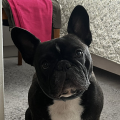 Yugopolis & Maciej MaleÅczuk - Ostatnia nocka (Dorski Remix).mp3