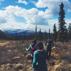 Best Denali National Park Walking Tour Tours Review