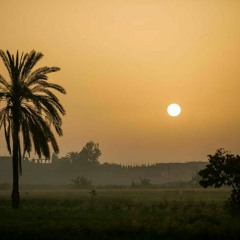 تائيّة كثير عزّة.mp3