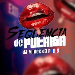 SEQUEMCIA DE PUTARIA - DJ MODCK DJ PARIS