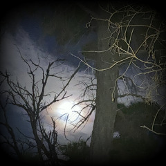 Foreboding