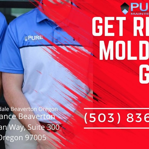 Stream Pure Maintenance Beaverton Listen to Mold Removal Hazeldale