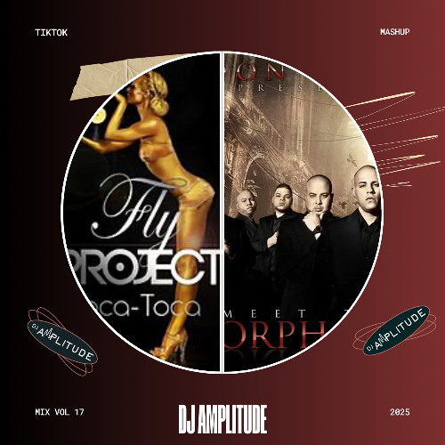 Toca Toca X Danza Kuduro [DJ Amplitude Mashup] *Extra 7 Minutes Due To Copyright*