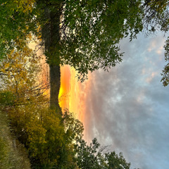 geeked (prod me & borgiolini)