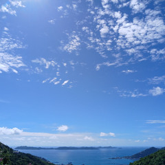 V.I. Culture (LA Rabsatt, vocals)