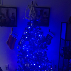 Christmas Girlfriend