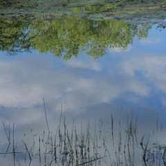 Xanman$hawty - spliff (dlt)