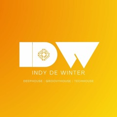 JOY - WAVY | DEEP-GROOVY-TECHHOUSE | 2023 | INDY DE WINTER