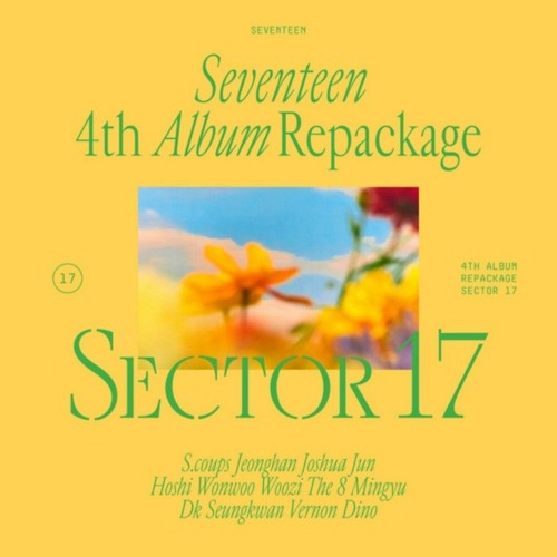 SEVENTEEN 헹가래 バーノン 有限