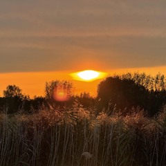 DewDrop Mixture #012