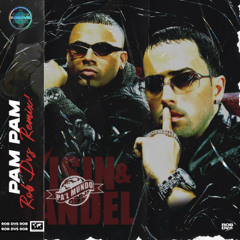 Pam Pam (Rob DVS Remix) *FILTERED*
