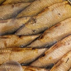 Tide Is High (Slow Blondie Cover/Loop)