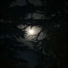 201 | TAS 85 | 108 a 116 bpm