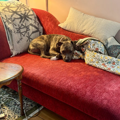 Episode 179—The Psychologisode