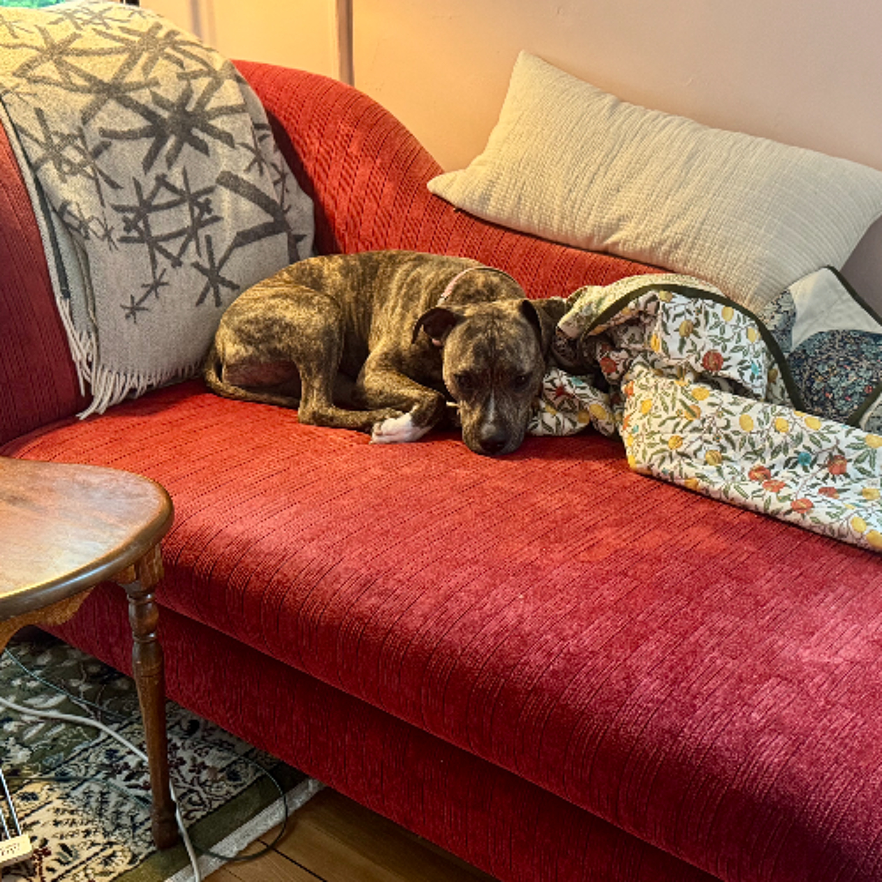 Episode 179—The Psychologisode