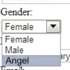 ONDA ANDAR – cachalot.m4a