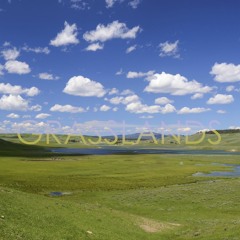 grasslands