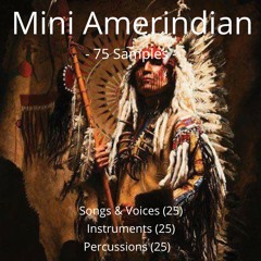 Mini Amerindian - Preview 3 - Percussions (with bird sounds in the background)