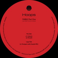 B1: Fabble aka Fabio Caria & Hubble  - Persignis (with Claudio PRC)