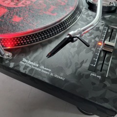 Vinylbretter #5 Schranz,Hard