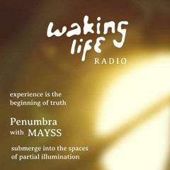 Mayss at Kasheme for Waking Life Radio
