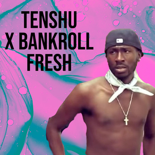 tenshu x bankroll blend