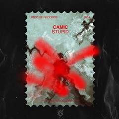 CAMIC - Stupid