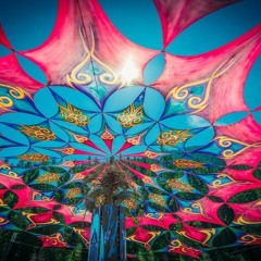 Twas a Slim Nev Spring Break