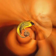 Little Weaver Bird by Molly Drake, 100 ms chunks sorted by volume