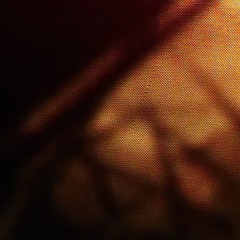 5)AreXX