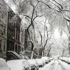 Snowy Brooklyn