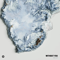 Without You