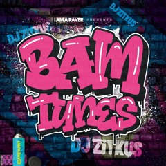 PAUL ZITKUS BAM TUNES ALBUM (DEEKAY REMIX)