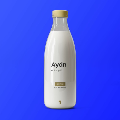 Goldtop Drum & Bass Guest Mix 22 // Aydn