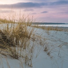 Dune