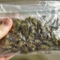765 STBB Happy Sack Day