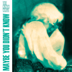 Maybe You Didn't Know (siː bɜːd Remix)