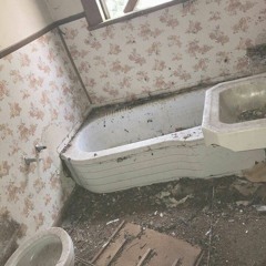 spider in my bathtub - mars argo COVER