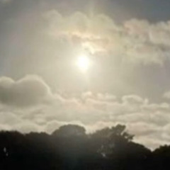 elysian(prod.15drtt)