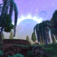 Feel nothing (Margiela)