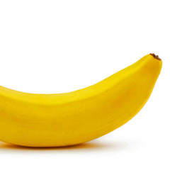 PASSENGER OF SHIT - PASSENGER OF SHIT 7 - 09 SUCK DOGS ANUS (SUCKDOG RMX)