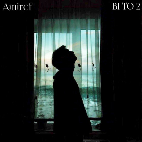Bi to2