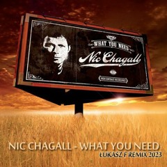 Nic Chagall - What You Need ( Łukasz F Remix 2023 )