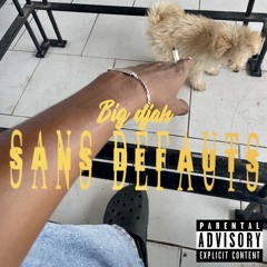big djah x sans défauts