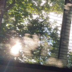 my morning routine • ˚ * 。 •