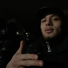 ALPO - AIM FOR THE STARS