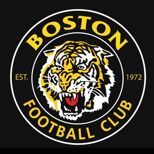 Stream Boston Tigers 50 Years by Brooke Neindorf | Listen online for ...